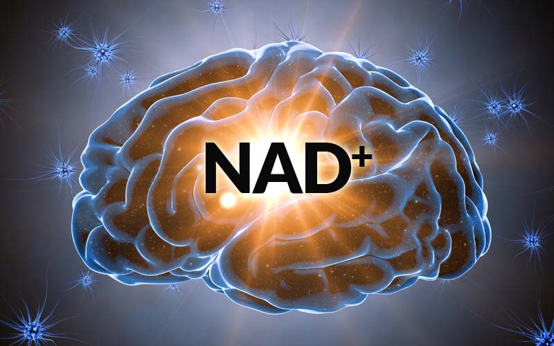Read more about the article NAD For Addiction